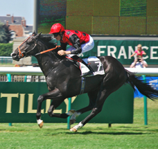 dick_turpin